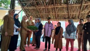 Pemerintah Kabupaten Tubaba Launching inovasi K3W