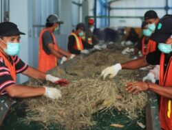 Tingkatkan Tata Kelola, PLN Sukses Turunkan Tingkat Risiko ESG