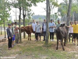 Pemkab Tulangbawang Barat Serahkan 2 Ekor Sapi Qurban kepada Insan Pers
