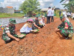 Koramil 410/04 TKT dan Jajaran Mengelar Penanaman Bawang Merah dan Cabe Di Kelompok Wanita Tani Indah lestari di Pimpin Oleh Mayor Kav Joko Subroto