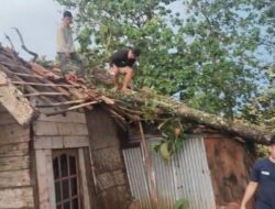 Gerak Cepat Pulihkan Listrik untuk Rakyat Pasca Puting Beliung di Blambangan Pagar, PLN Tuai Apresiasi