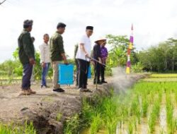 Gubernur Lampung Tinjau Pembuatan Pupuk Organik Cair, Dorong Kemandirian Petani