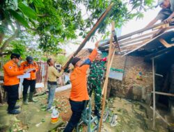 Solidaritas TNI dan Warga: Babinsa Kodim 0410/KBL Sigap Tangani Kerusakan Akibat Puting Beliung di Enggal