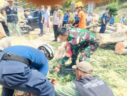 Sinergi TNI-Polri dan BPBD Evakuasi Korban Pohon Tumbang di Kawasan Holiday Inn Lampung