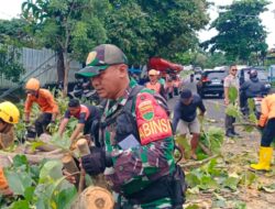 Sigap Hadapi Darurat, Babinsa Koramil 410-02/TBS Koordinasikan Penanganan Pohon Tumbang di Bandar Lampung