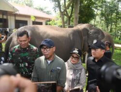 Ketua DPRD Lampung Dukung Atensi Presiden Jadikan Way Kambas Percontohan Nasional