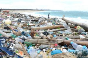 Aksi Buang Sampah Manasuka, Rusak Bahari Indonesia