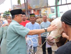 Idul Adha 2024, Polda Lampung Kurban 44 Sapi dan Kambing