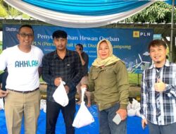 Rayakan Idul Adha 1445 H, PLN Salurkan 790 Paket Daging Kurban di Lampung