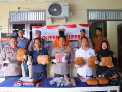 Bongkar Peredaran Narkoba, Polresta Bandar Lampung Sita 9 Kg Ganja dan Ratusan Gram Sabu