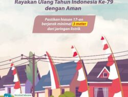 Catat Tips Listrik PLN Tetap Aman Saat Rayakan Kemeriahan HUT RI 79