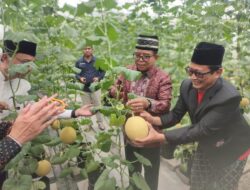 Pj. Gubernur Lampung Resmikan Sekolah Melon Berbasis IoT, Serta Panen Melon Sultan