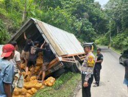 Laka Beruntun di Jalur Wisata Pesawaran Gegara Truk Box Gagal Menanjak