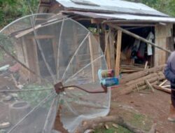 Kawanan Gajah di Tanggamus Tewaskan Seorang Warga