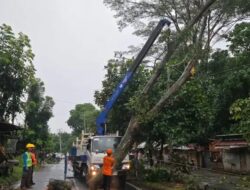 Gerak Cepat PLN Atasi Cuaca Ekstrem, Selama 3 Jam Pulihkan Kelistrikan 29 Ribu Pelanggan