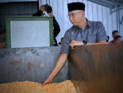 Catatan 100 Hari Pemerintahan Mirza-Jihan, Dorong Hilirisasi Pertanian: Salurkan 24 Dryer Padi dan 4 Mesin Penepung Mocaf