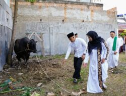 Khidmat, Walikota Eva Dwiana bersama Forkopimda Sholat Idul Adha di Kecamatan Sukarame