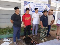 DPC PERADI Kota Bandar Lampung Mengadakan Penyembelihan Hewan Kurban Idhul Adha 1446 H