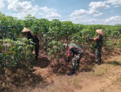 TNI AD Dukung Wujud Nyata Program Pemerintah dalam Mewujudkan Kemandirian Pangan