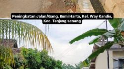 Pemkot Bandar Lampung Targetkan Pembangunan 200 Ruas Jalan Lingkungan di Tahun 2026