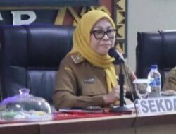 Pendaftaran Online RSUD Ryacudu ‘Hanya Hiasan’, Sekda Intji Indriati Minta Perbaikan Segera