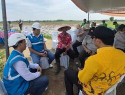 Akselerasi Ketahanan Pangan Daerah, PLN Hadirkan Listrik Andal untuk Pertanian Modern