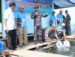 TNI AL Gelar Pelatihan Ketahanan Pangan Maritim Di Wilayah Kerja Lanal Lampung