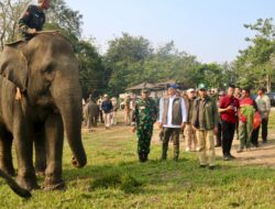 Wamenhut Kawal Instruksi Presiden Wujudkan Solusi Permanen di Way Kambas