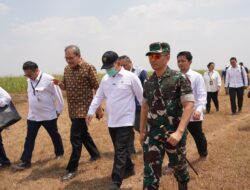 Panen Tebu Register 44 Kembali Bergulir, KSP Dudung Pastikan Aspirasi Petani Ditindaklanjuti